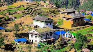 Beautiful Nepal|Mountain Village Life Of Nepal|Rural Life in Jumla #himalayas #village life|Reallife