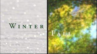 Winter / Fall - A Season Changing Timelapse