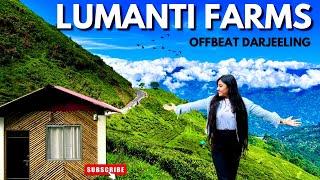 Lumanti Farms | Offbeat Tea Garden Darjeeling | Arya tea Garden | Cottage & Bunkbeds এর সুবিধা |