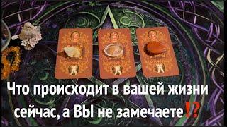 Что происходит в Вашей жизни сейчас, а Вы не замечаете От чего судьба отведет⁉️ / Таро DIAMOND WAY