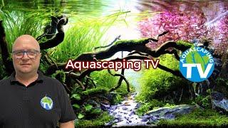 AQUASCAPING TV | Twoje Miejsce na Fascynującą Podróż po Świecie Akwarystyki!