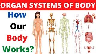 Organ Systems of Human Body | Sanjay Meena