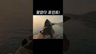 내 마음속에 저장