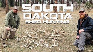 21 ANTLERS on a SHED HUNTING TRIP to SOUTH DAKOTA  with ANDY HOLSCLAW