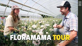 This Flower Farm Is AMAZING! | 6 Figures On 1.5 Acres?!