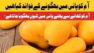 What are the benefits of soaking mangoes in water? | Daily Jang