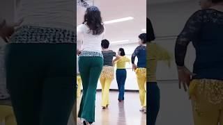 Wild Rose line dance 찔레꽃라인댄스        용인스튜디오