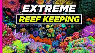 Meet the Ultimate Coral Collector | The Pinnacle of Hardcore Reef Keeping