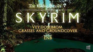 skyrim special edition Veydosebrom - Grasses and Groundcover + ENB SHOWCASE [HD]