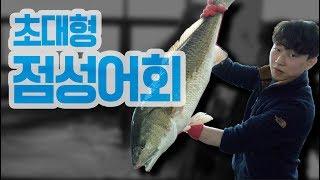 초대형 점성어 회 뜨기 How to fillet a huge red drum fish @방포수산