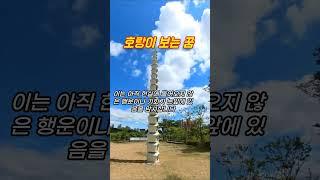 호랑이꿈, 호랑이 보는 꿈 #꿈해몽 #예언 #예지몽 #호랑이