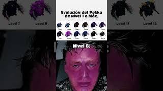 Pekka Nivel 1 a Máx 