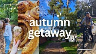 an AUTUMNAL week in the NEW FOREST | alpacas, spas & cycling