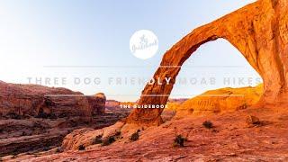 Three Great Trails In Moab That Aren’t In National Parks (Dog Friendly)