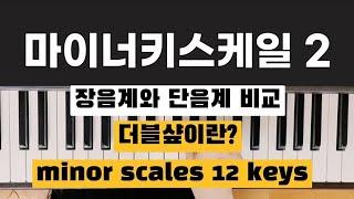 #마이너스케일 12키(2) / 조표가 샾인 장조의 단조들 / #더블샾이란?   / #장음계_단음계의모든것