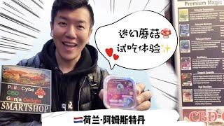 荷兰·Psychedelic mushroom（Premium  Magic Truffles)tasting experience, Amsterdam,Holland.迷幻蘑菇试吃体验‼️