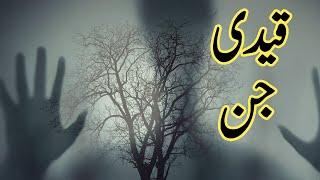 Qaidi Jinn || Urdu Hindi Horror Story