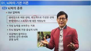 3-3. 뇌파의 기본 이론(홍양표 박사)