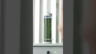 Moss Air : better than other plants #mossair #innovation #hometech @YouFactTech