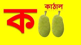 শুদ্ধ ব্যঞ্জনবর্ণ উচ্চারণ: ক থেকে ঙ পর্যন্ত। বাংলা ব্যঞ্জনবর্ণ উচ্চারণের সহজ টিউটোরিয়াল ২০২৪