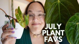 Fav plants of July with care tips | Plant with Roos