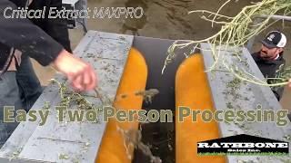 Fastest way to Process Industrial Hemp. MAXPRO 4 foot Hemp Bucker From Critical Extract