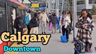 Calgary Downtown | Calgary Downtown on  February 2024. Calgary Canada #Calgary #alberta #canada