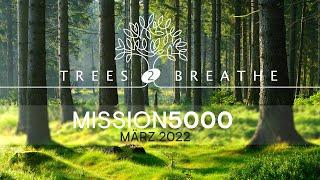 TREES 2 BREATHE - MISSION 5000 - Die Baumpflanz-Aktion von cbs Corporate Business Solutions