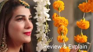 Bismil Episode 29 | Naumaan Ijaz | Hareem Farooq | 24th Nov 2024 (English Subtitles) | ARY | Review