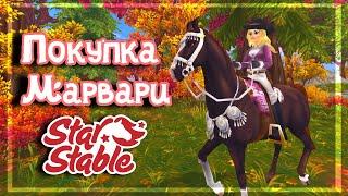 ПОКУПКА МАРВАРИ В SSO | Star Stable Online