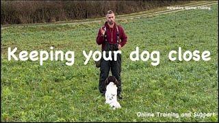 Teaching your dog to hunt close "Gundog basics series"