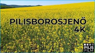 Pilisborosjenő, vár a természet! | 4K