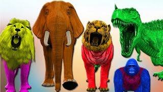 Finger Family Collection! Animals Finger Family Songs with Lion, Tiger, Gorilla, Elephant, Dinosaurs