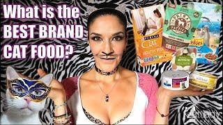 How to choose the BEST BRAND CAT FOOD for your kitty (is Raw Cat Food REALLY the best option)?!