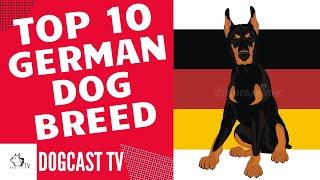 TOP 10 GERMAN DOG BREEDS! DogCastTV!