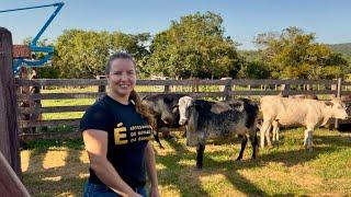 SHE WENT BACK TO THE FARM TO OPEN A COMPANY AND TAKE CARE OF HER PARENTS