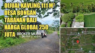 DIJUAL TANAH KAVLING 111M² | DESA BONGAN TABANAN BALI | VIEW SAWAH HANYA 250 JUTA GLOBAL