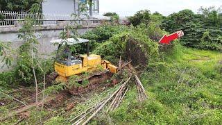 WoW.! Perfectly Project, Land Clearing Brush and Forest Using KOMATSU D31P Dozer