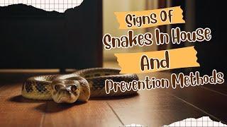 Signs Of Snakes In House And Prevention Methods