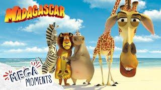 The Best of Madagascar!   | Madagascar | Extended Preview | Mega Moments