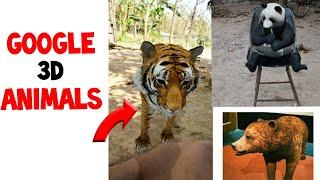 How To Use Google 3D Animals | Google 3D Animals