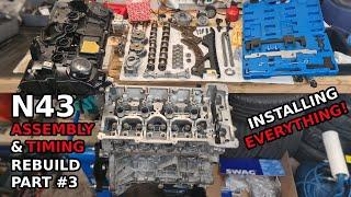 N43 Timing & Complete Engine assembly  DIY PART #3