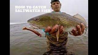 SALTWATER Lure Fishing 101 | Beginners Guide MADE EASY to Catch SALTWATER FISH with lures