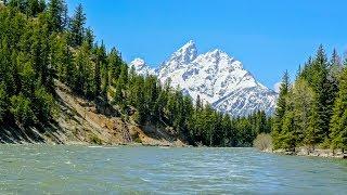 Scenic Raft Trip  |  Grand Teton National Park  |  4K UHD