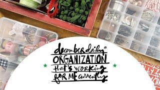 December Daily® 2023 | Organization That's Working For Me