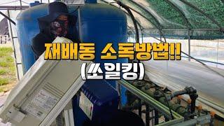 재배동 소독방법(쏘일킹)!![딸기야모하노]