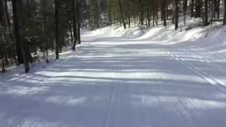 Birkie Trail Moment: Bobblehead Hill