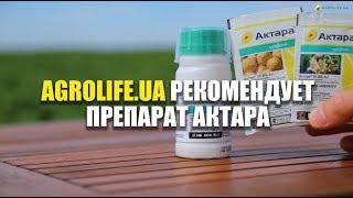 Актара Эффективный инсектицид: описание, характеристики, цена | Agrolife рекомендует