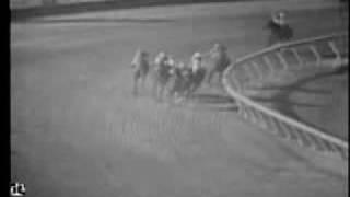 Northern Dancer - 1964 Preakness Stakes