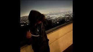 [free for profit] dom corleo sample type beat "night"